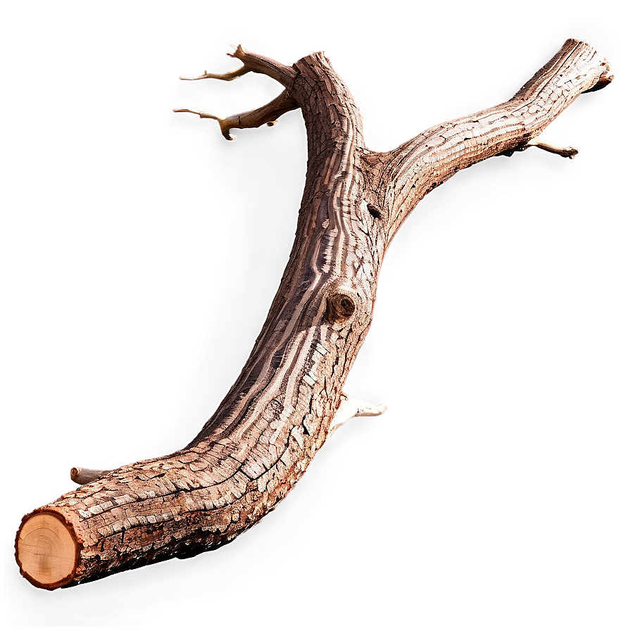 Twisted Tree Trunk Png Wji PNG