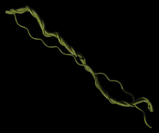 Twisting Green Vine Black Background PNG