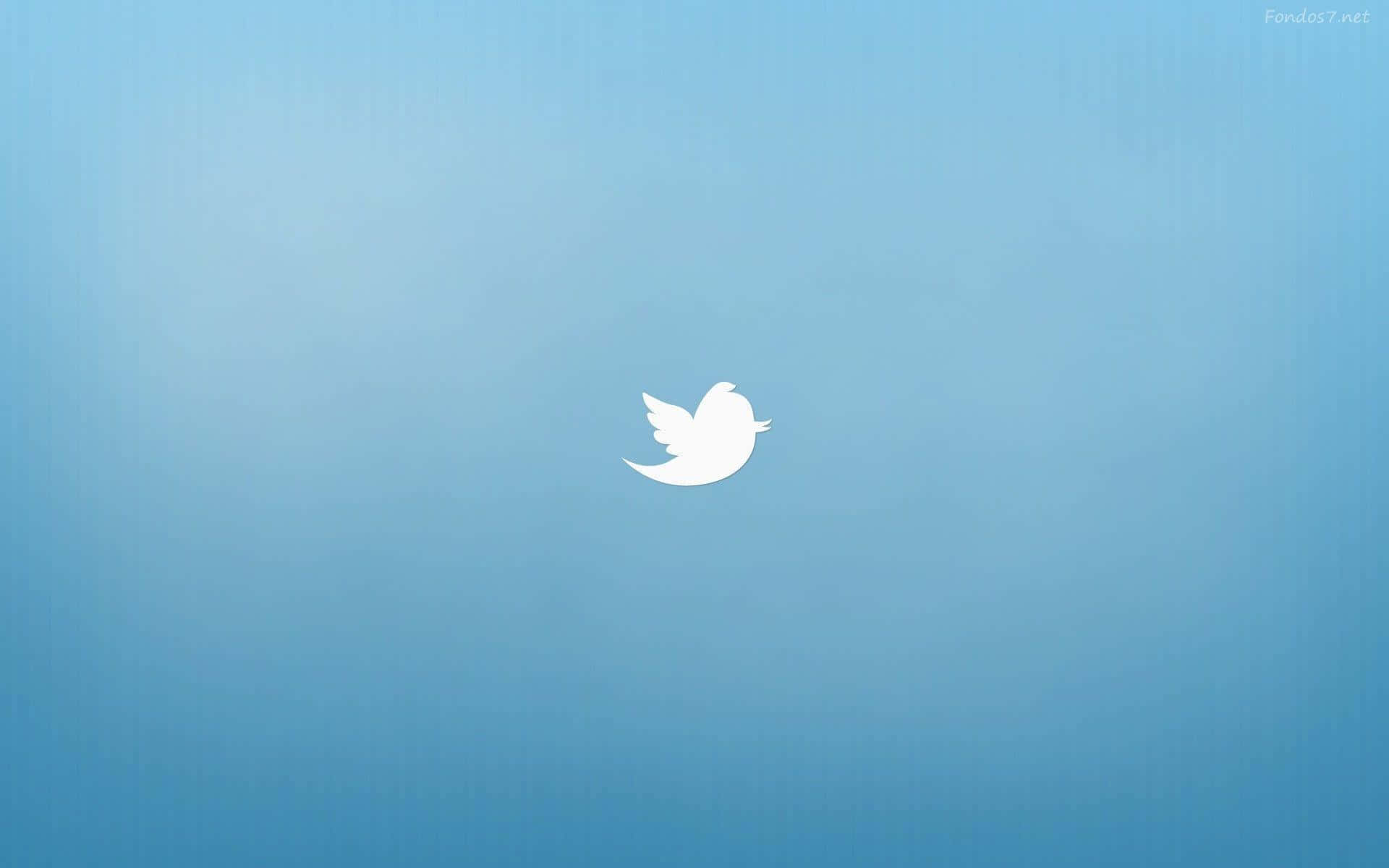 Twitter Background