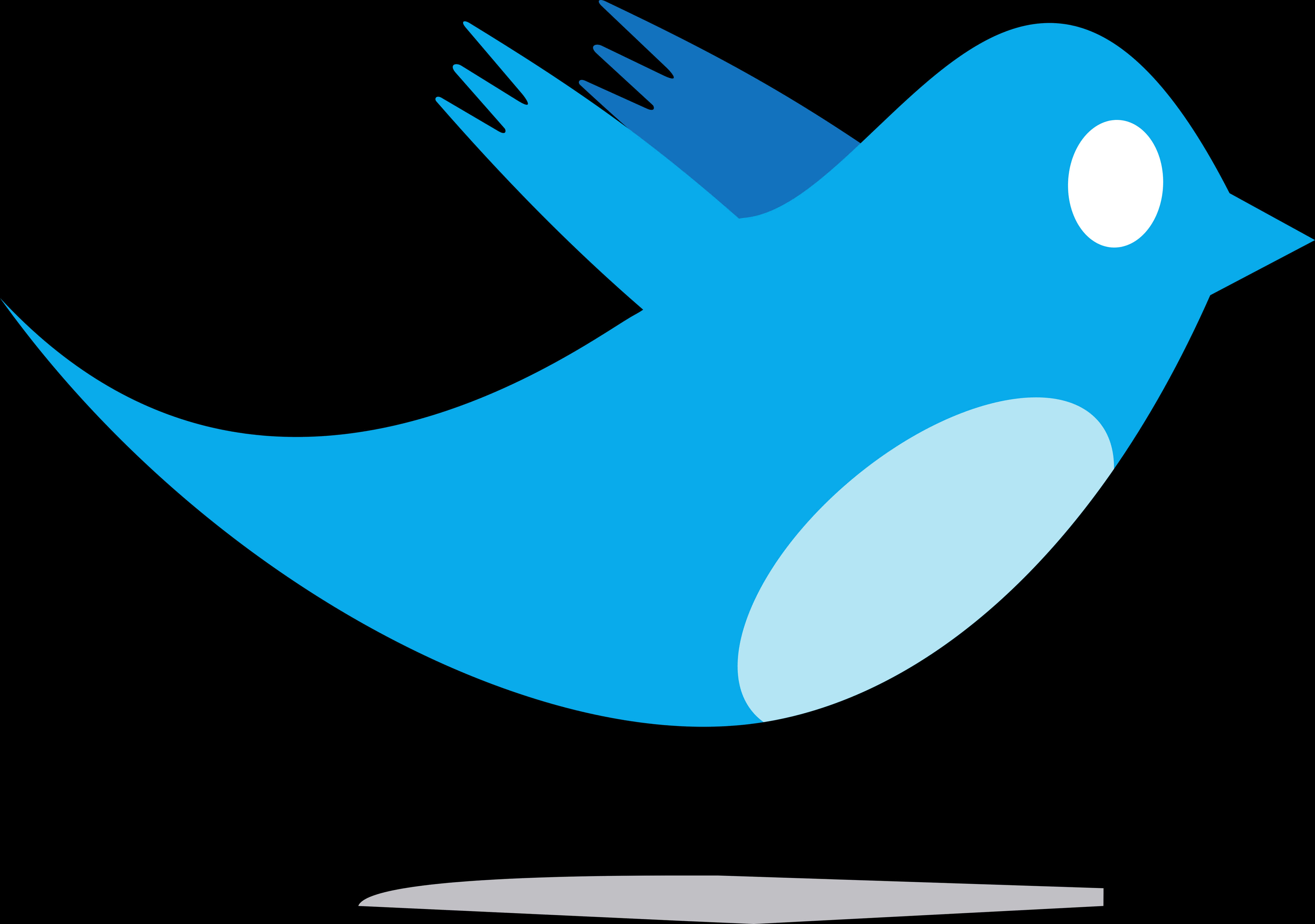 Twitter Logo Blue Bird PNG