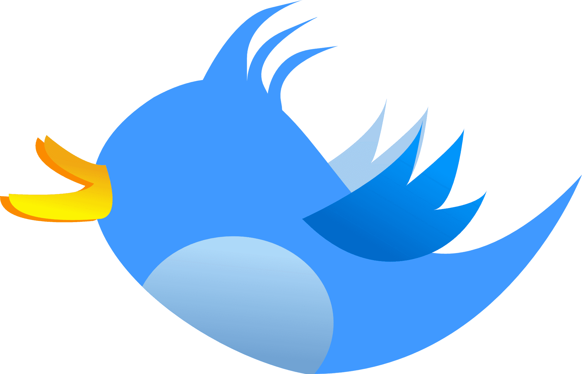 Twitter Bird Logo PNG
