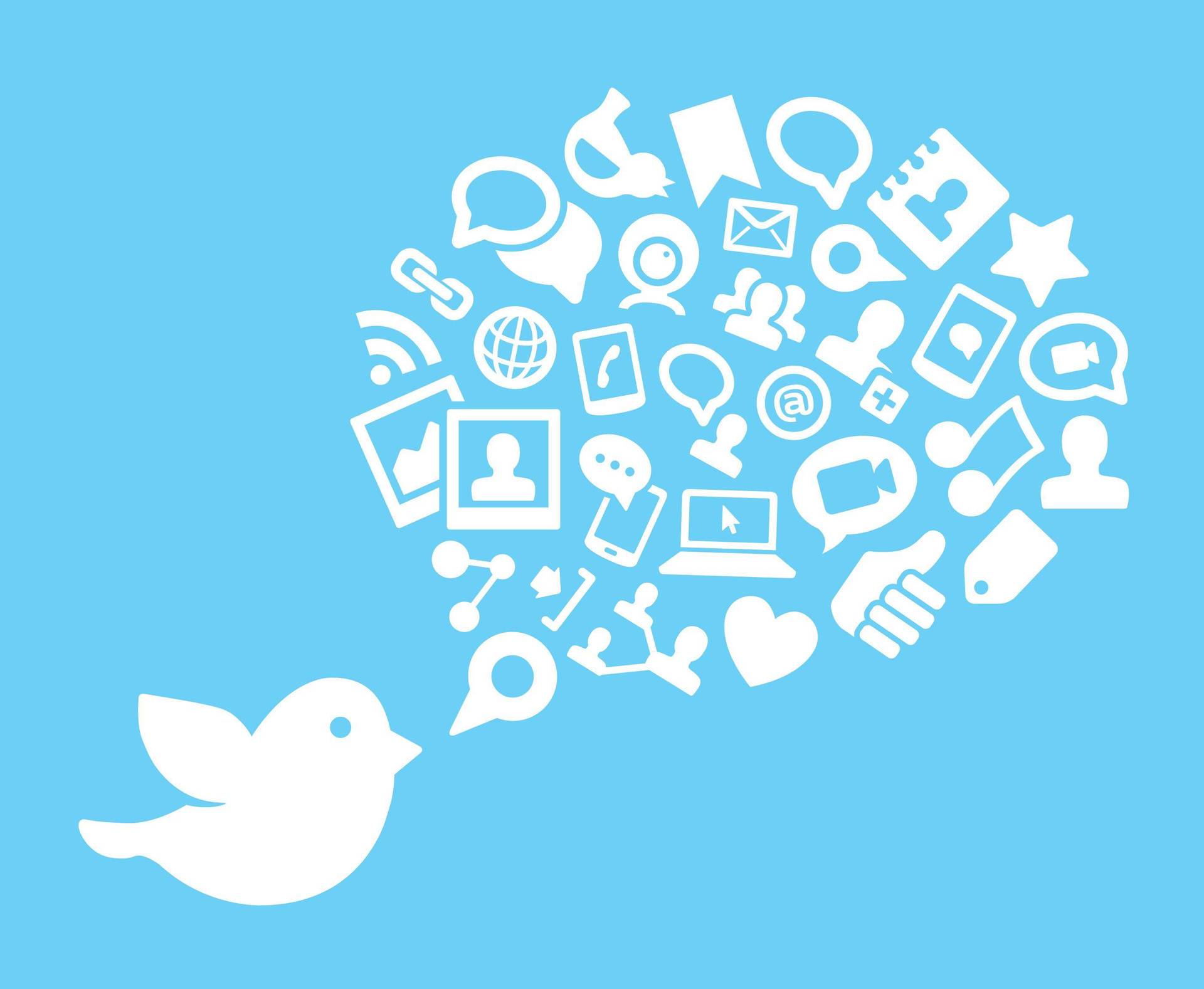 Twitter Bird Social Media Wallpaper