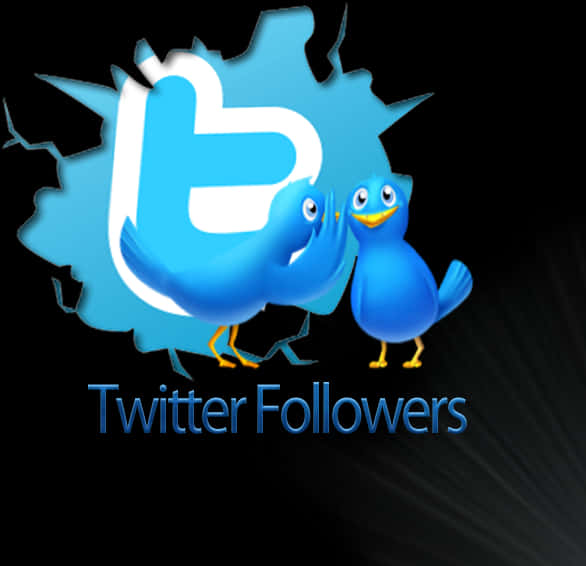 Twitter Followers Promotion Graphic PNG