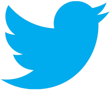 Twitter Bird Logo Blueon Grey PNG