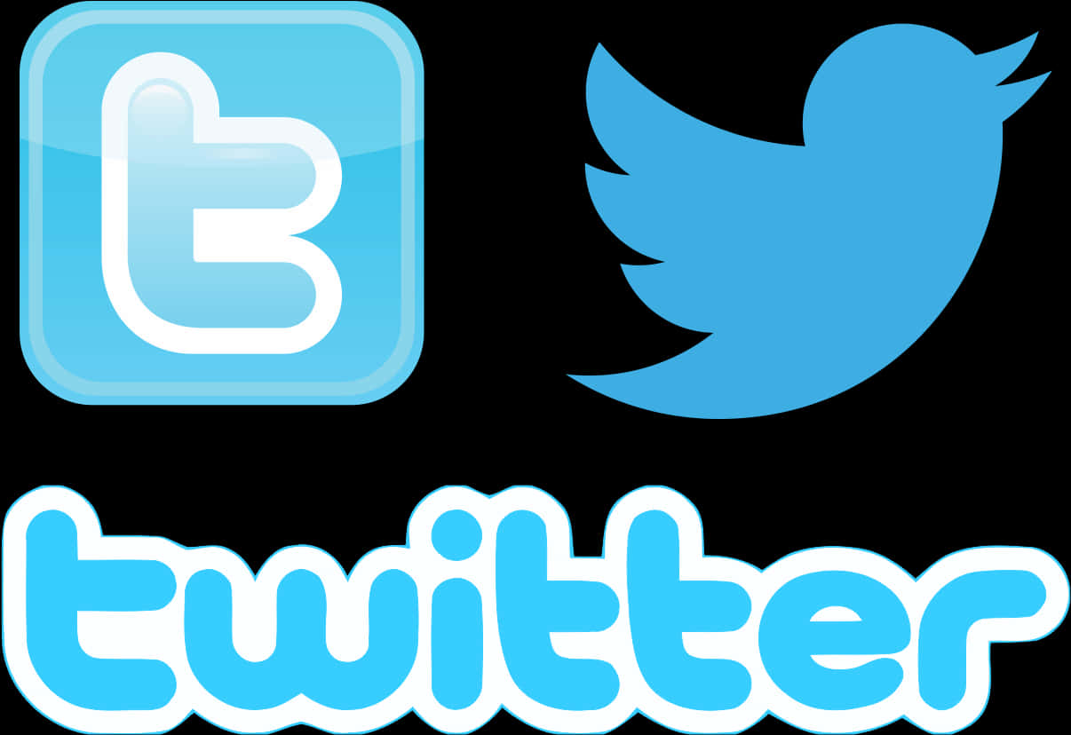 Twitter Logo Evolution PNG