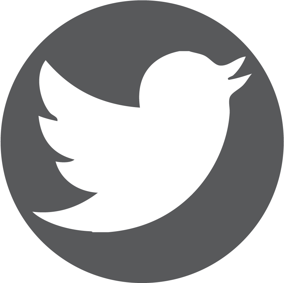 Twitter Logo Icon PNG