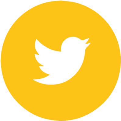 Twitter Logo Icon PNG