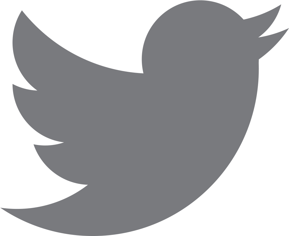 Twitter Logo Icon PNG