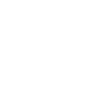 Twitter Logo Silhouette PNG