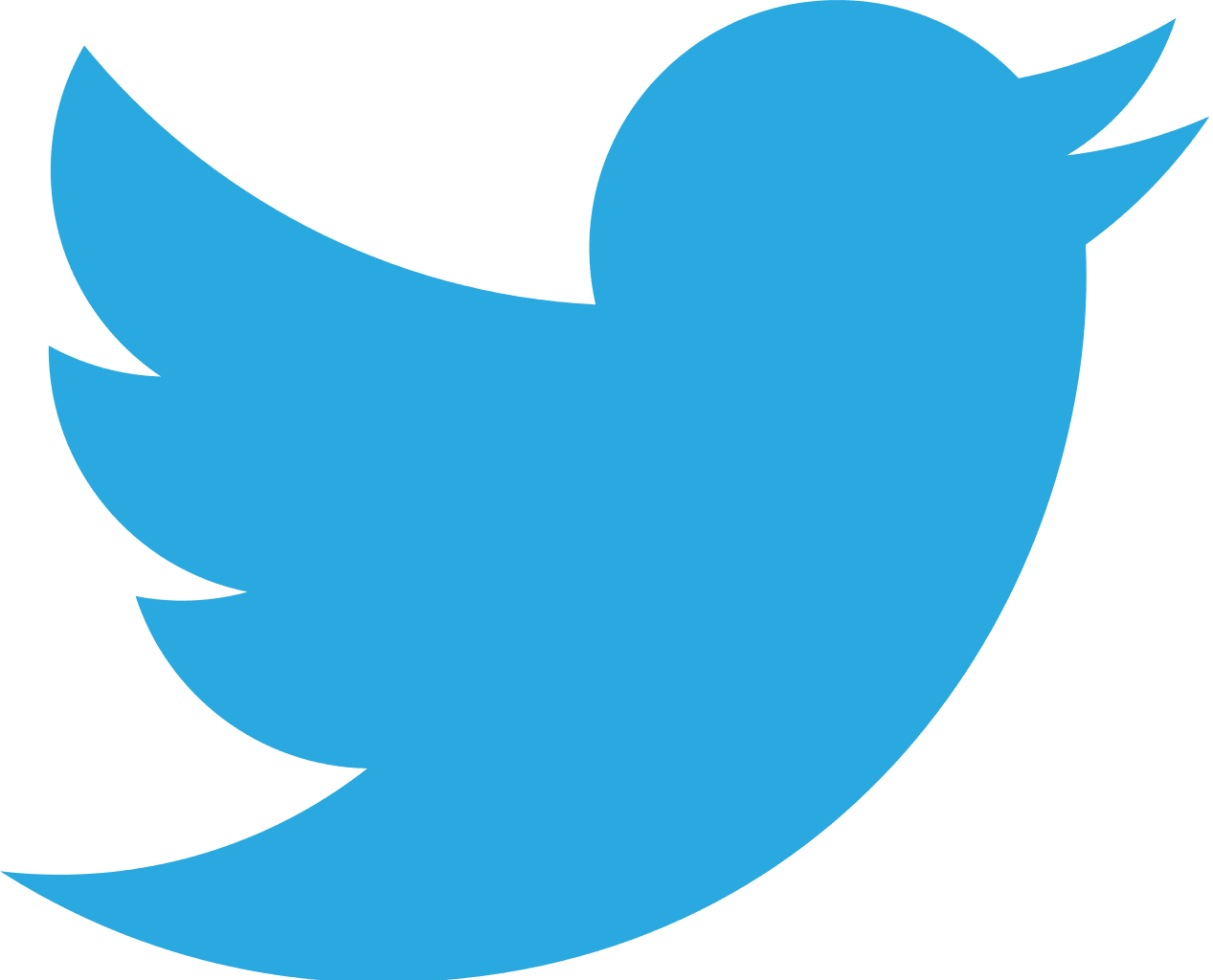 Twitter Logo Blue Bird PNG