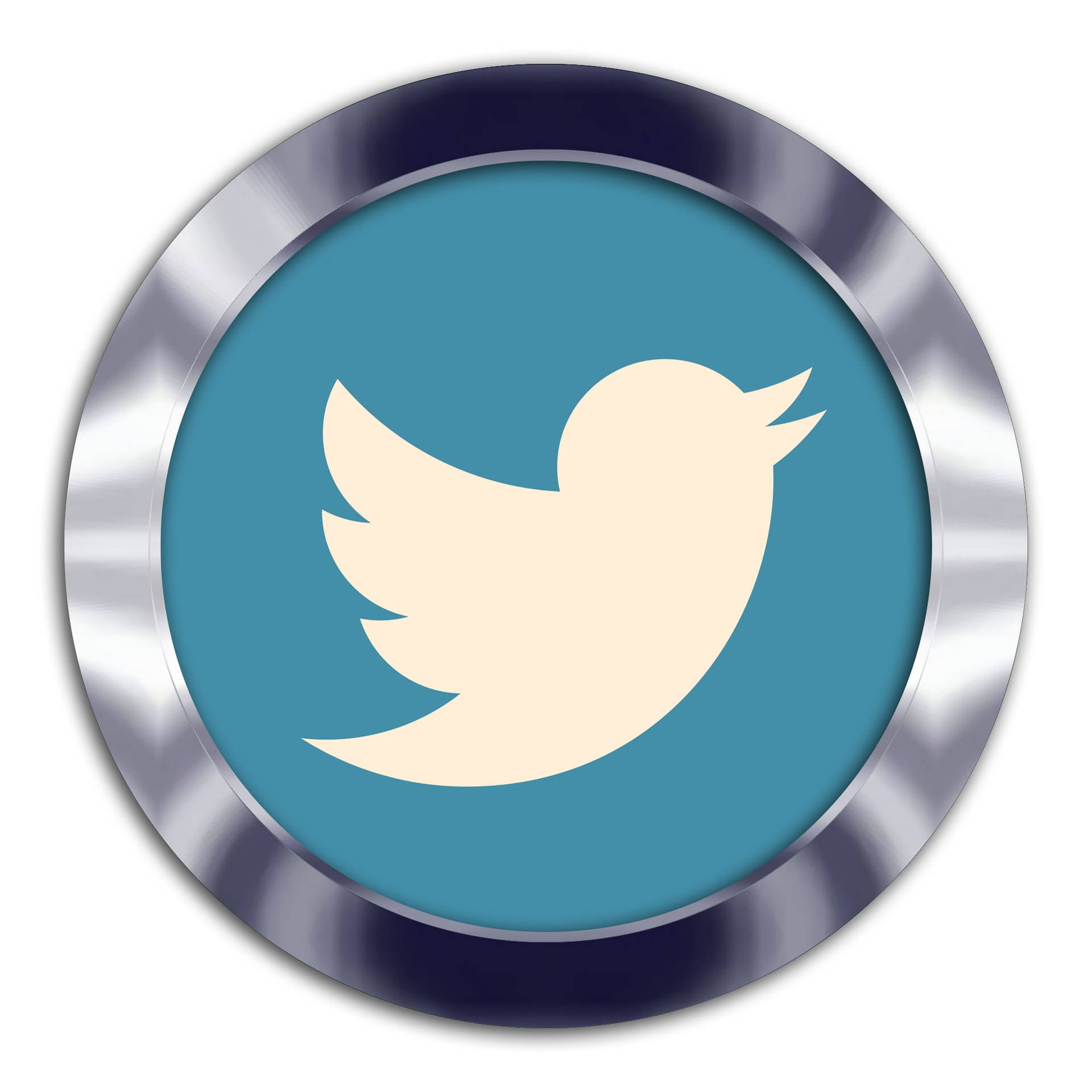 Twitter Logo In Silver Frame Wallpaper