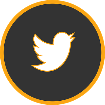 Twitter Logo Orangeand Black PNG