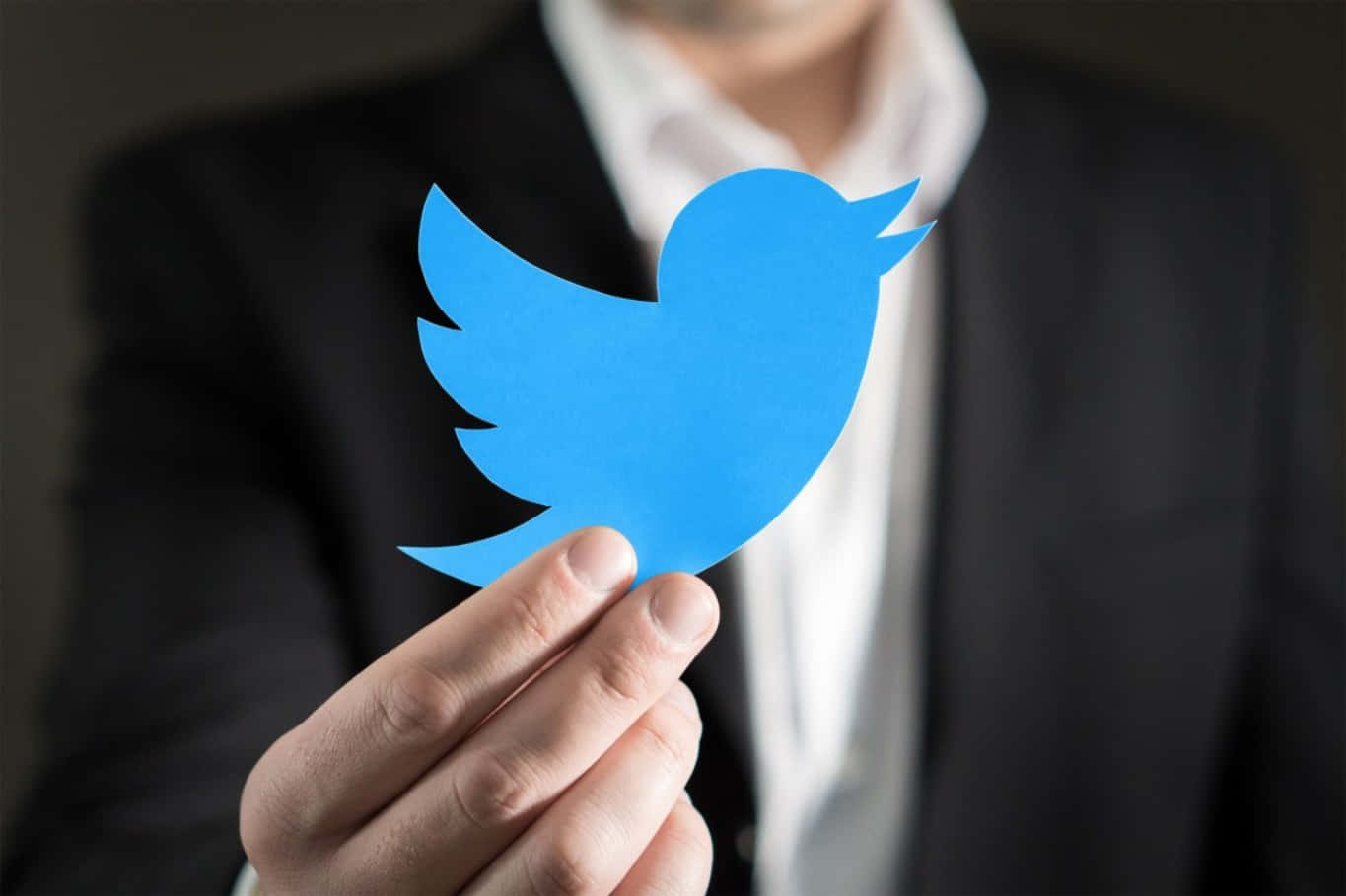 Enmand Holder En Blå Twitter-logo Op.