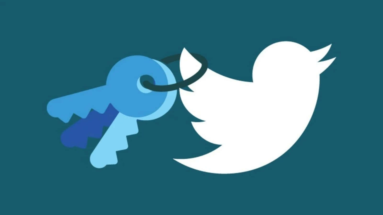 Twitter Key And Bird Logo