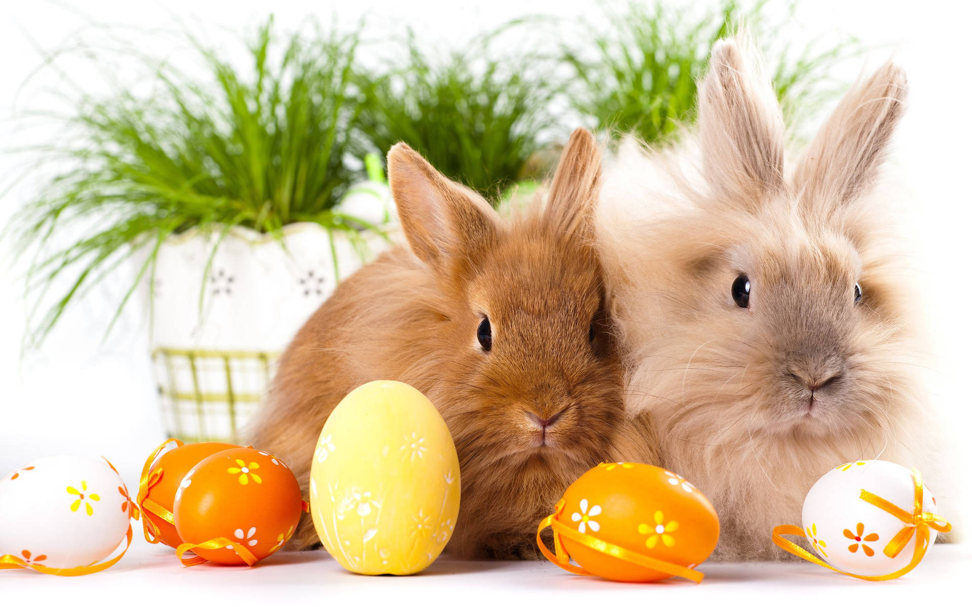 Dueadorabili Coniglietti Felici Di Pasqua Con Le Uova Sfondo