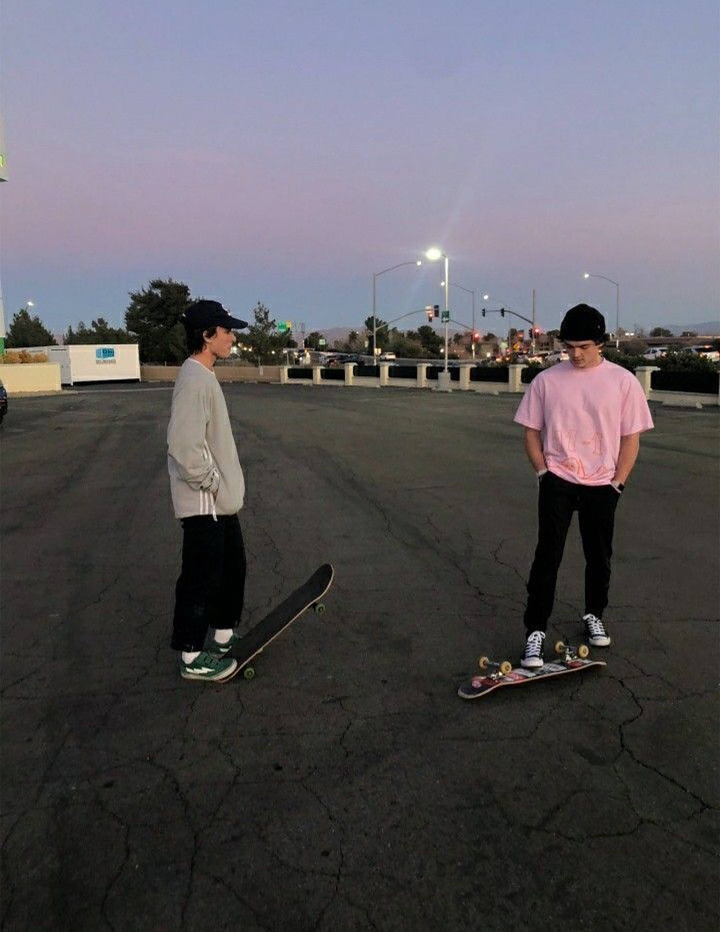Two Aesthetic Skater Boys Wallpaper