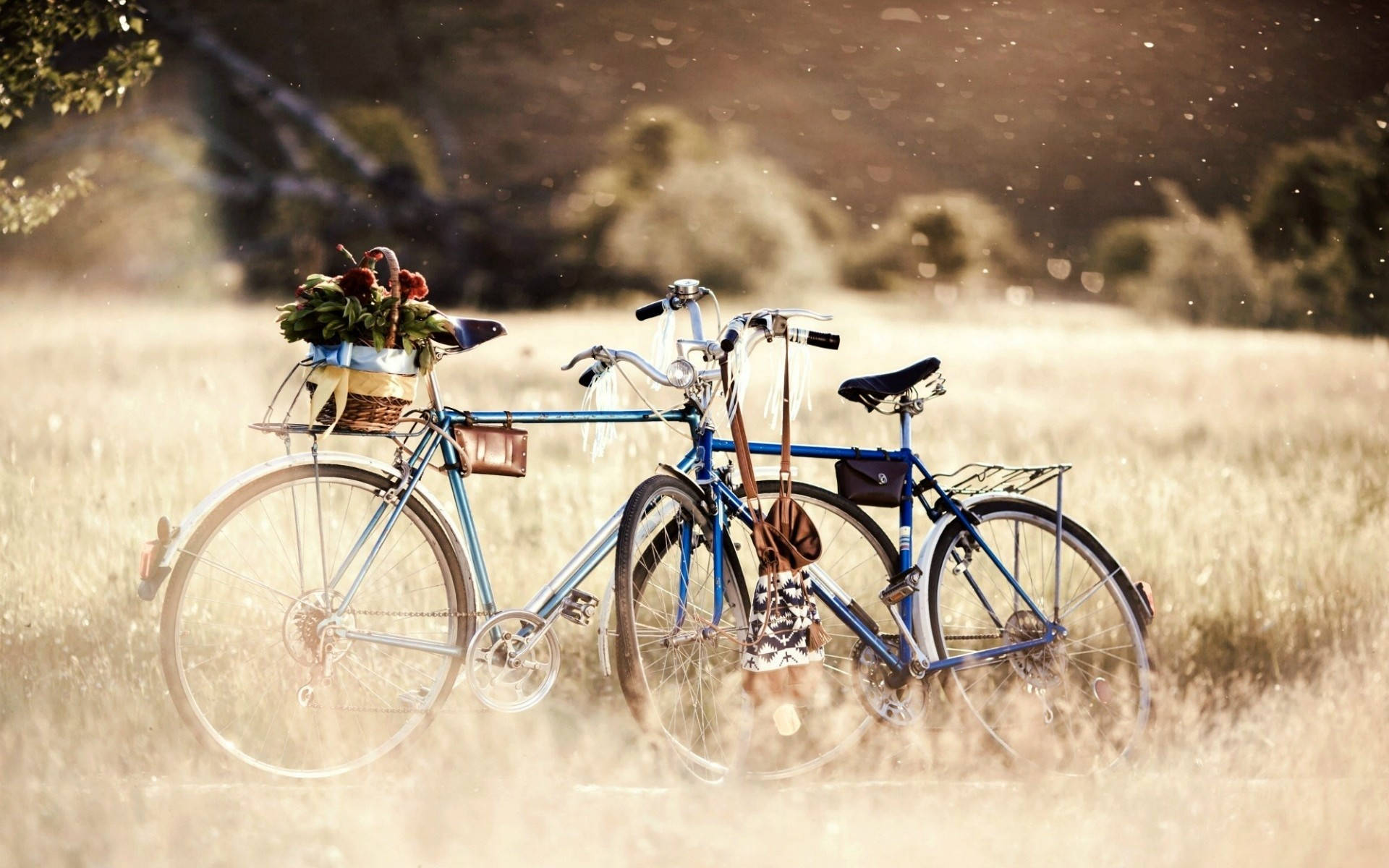Two Bicycles On A Field Background