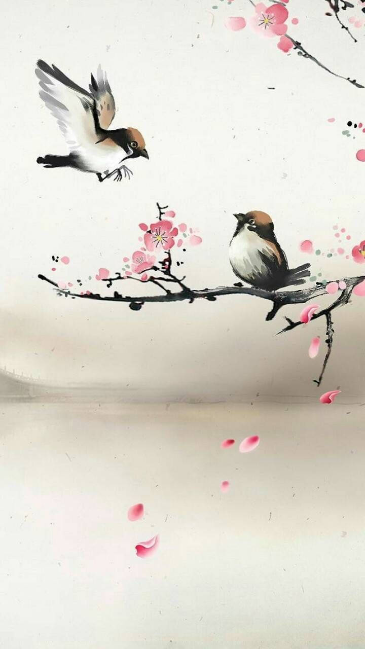 Two Birds Art Drawing Wallpaper