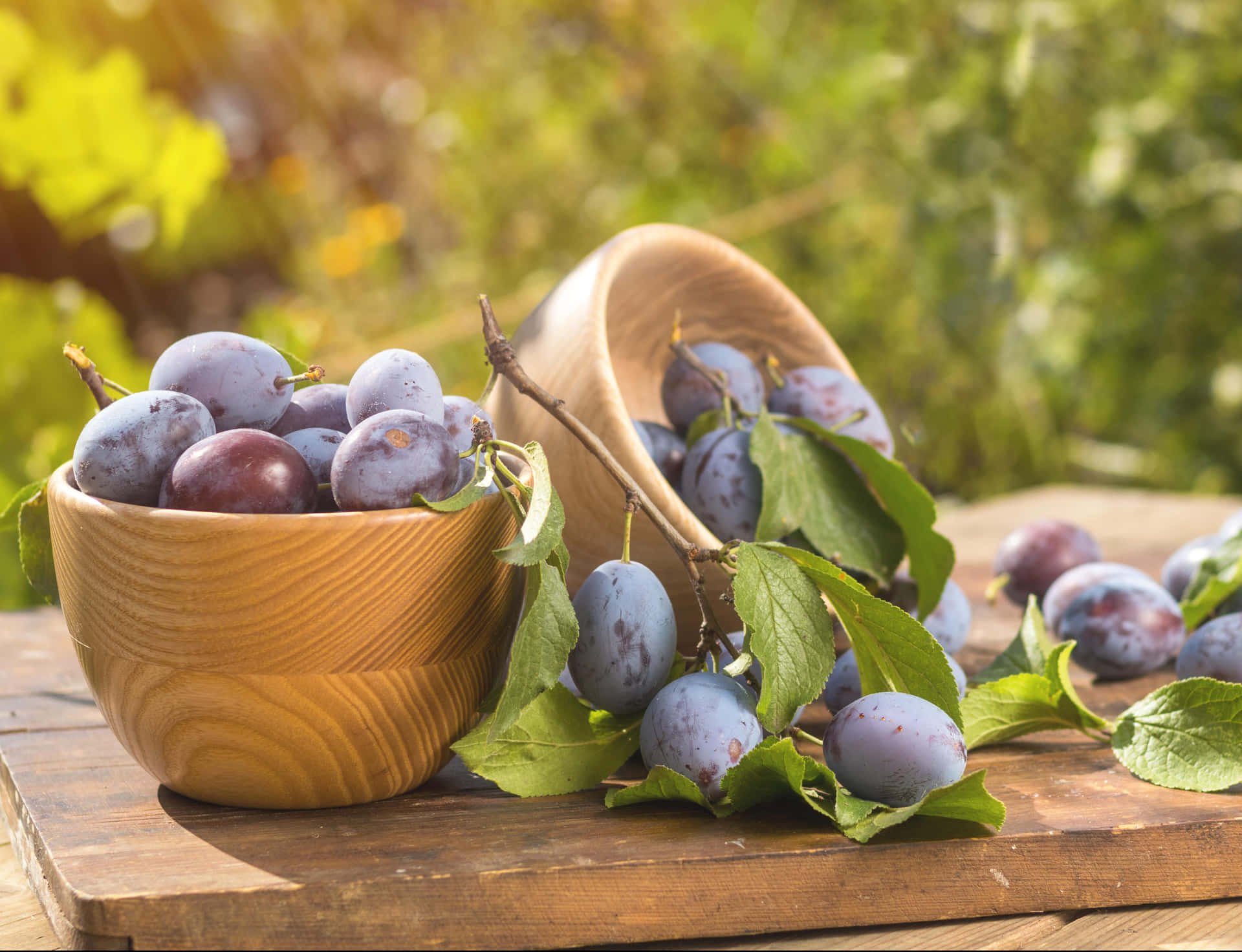 Download Two Bowls Of Damson Plums Wallpaper | Wallpapers.com