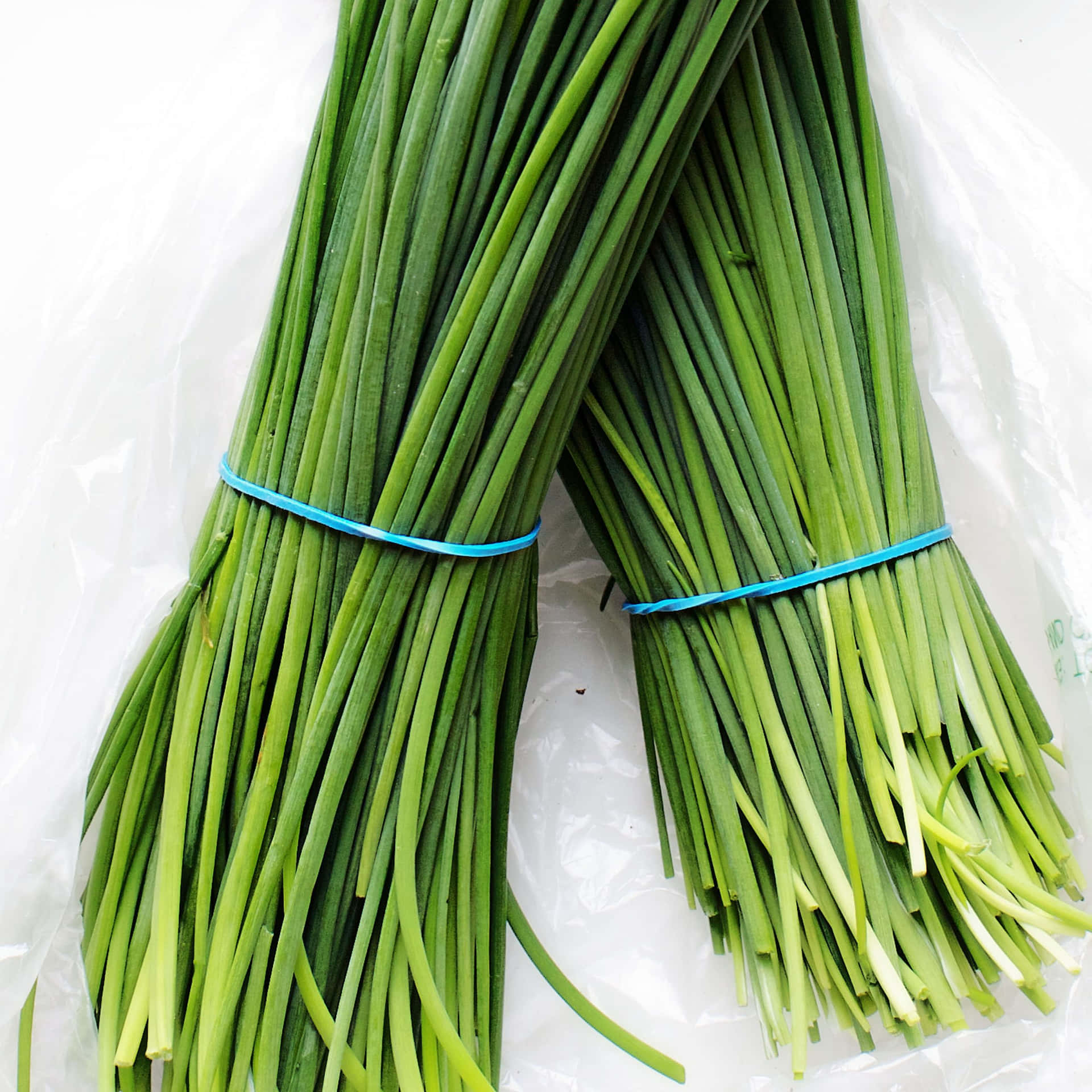 Two Bunches Of Chives On Plastic Bag Wallpaper