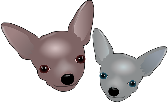 Two Cartoon Chihuahuas PNG