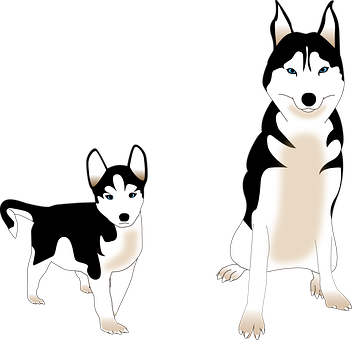 Two Cartoon Huskies Illustration PNG