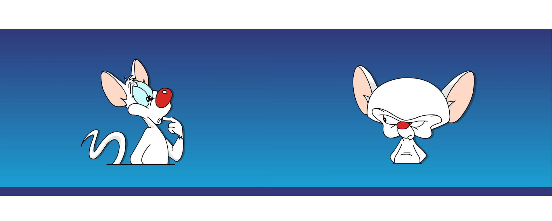 Two Characters Of Cerebral Pinky And The Brain Picture