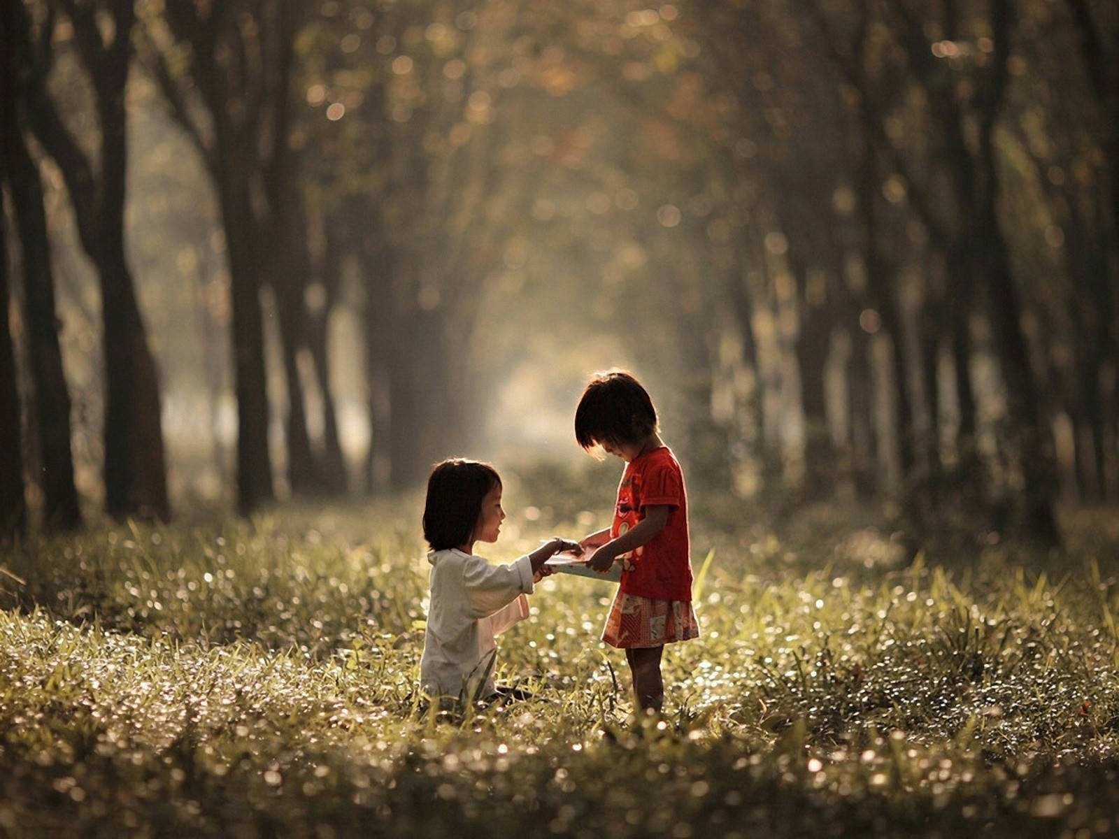 Two Children Playing In The Forest Wallpaper