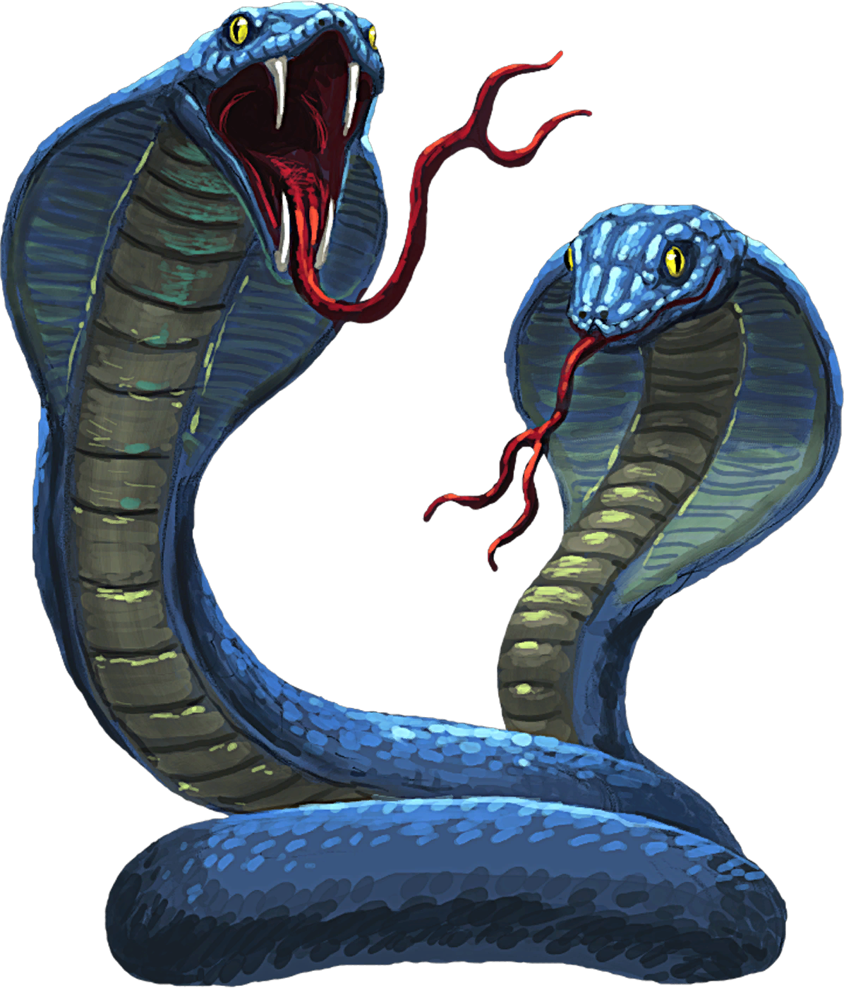 Two Cobras Illustration PNG