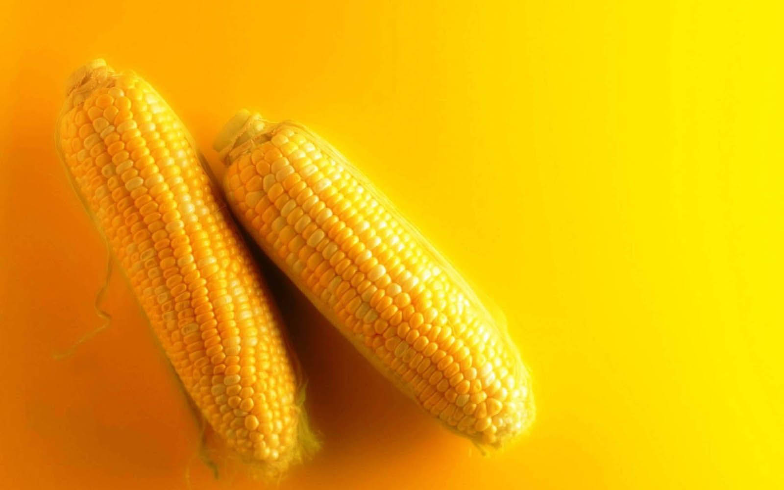 Two Corns On Yellow Surface Wallpaper