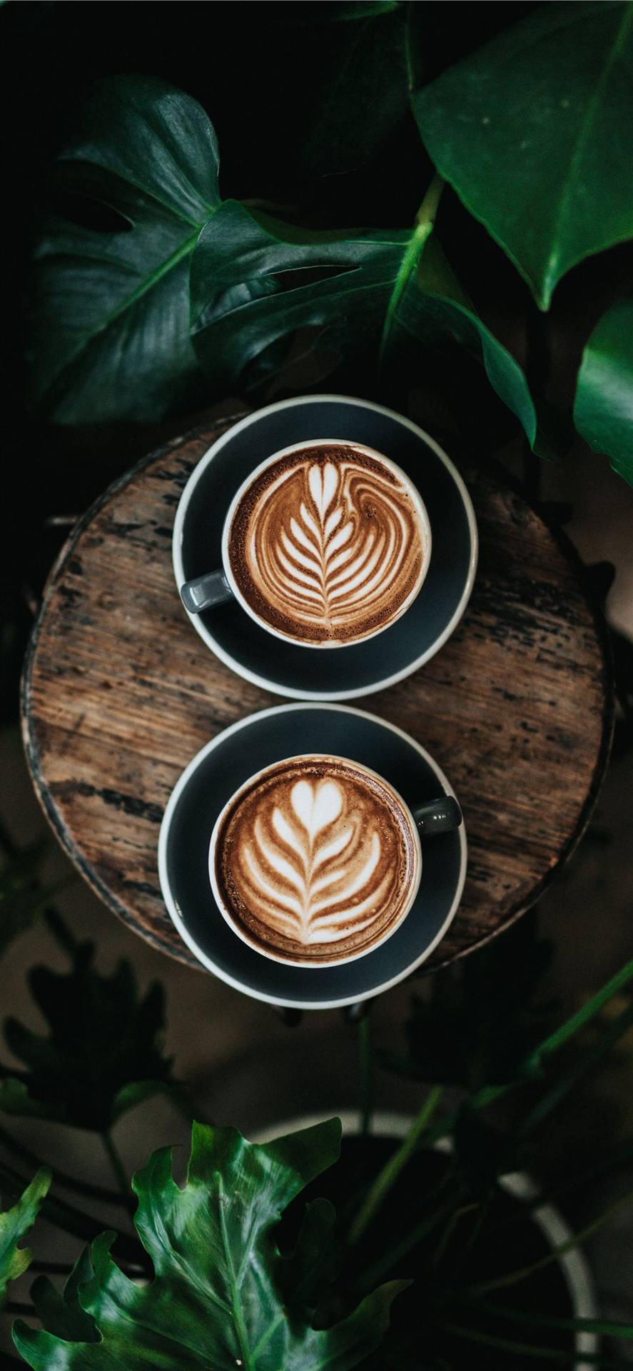 Two Cups Of Coffee Aesthetic Wallpaper