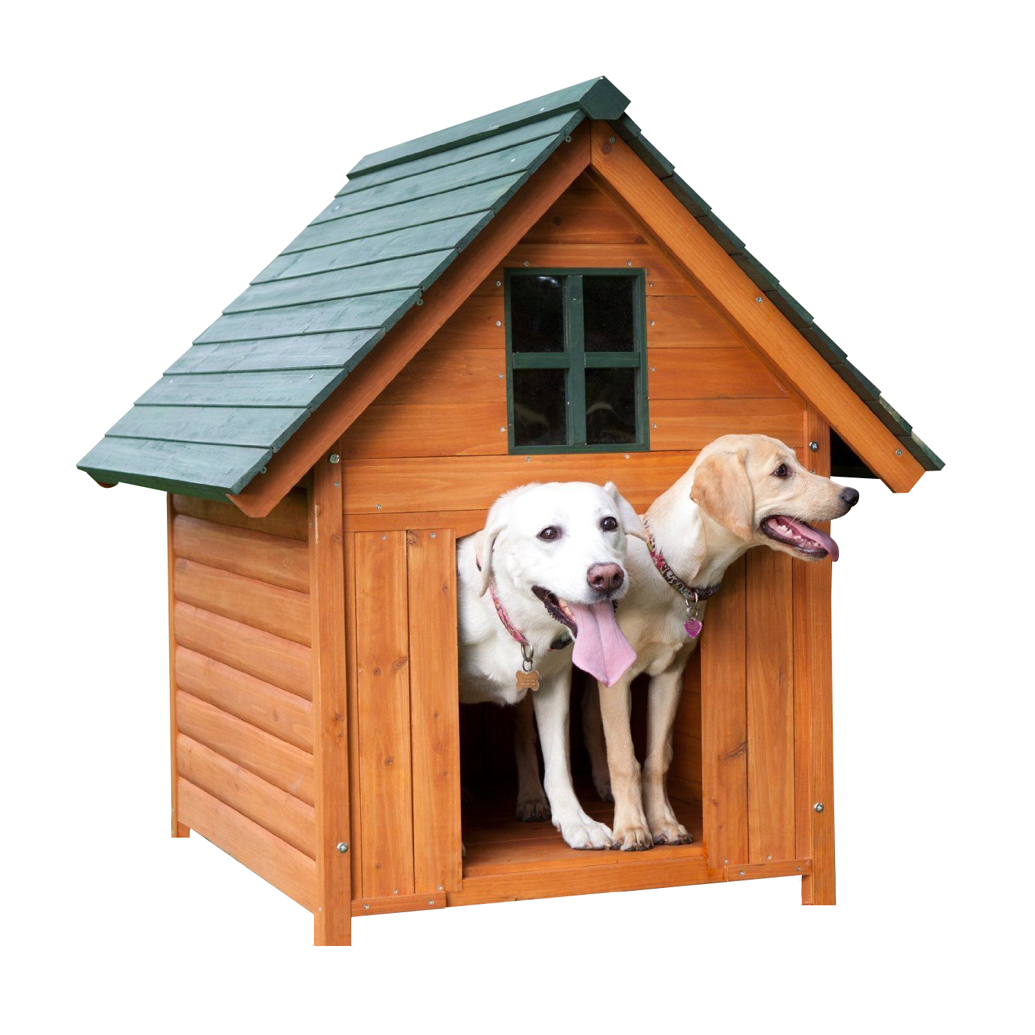 Two Dogsin Wooden House PNG