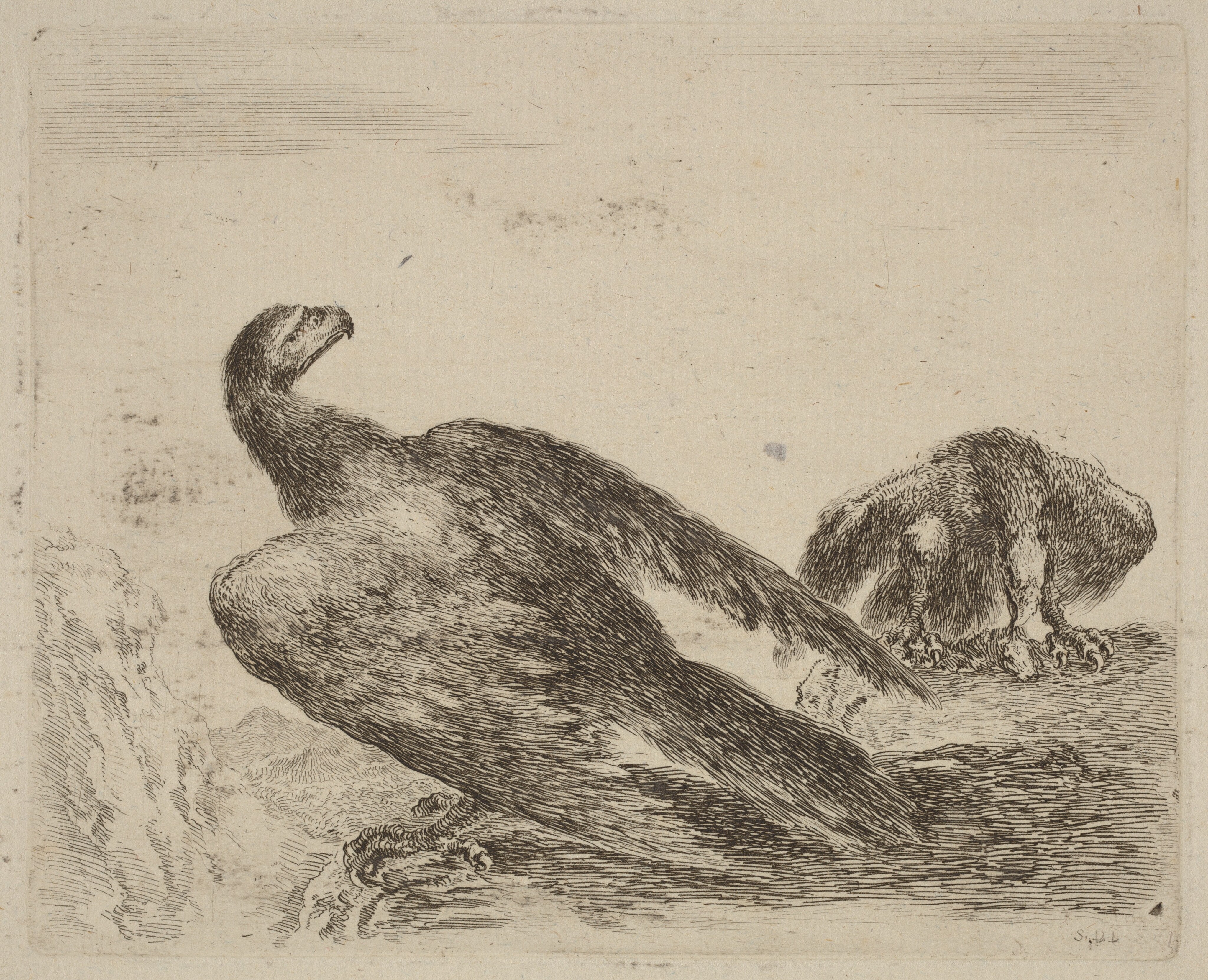 Two Eagles on a Promitory Wallpaper