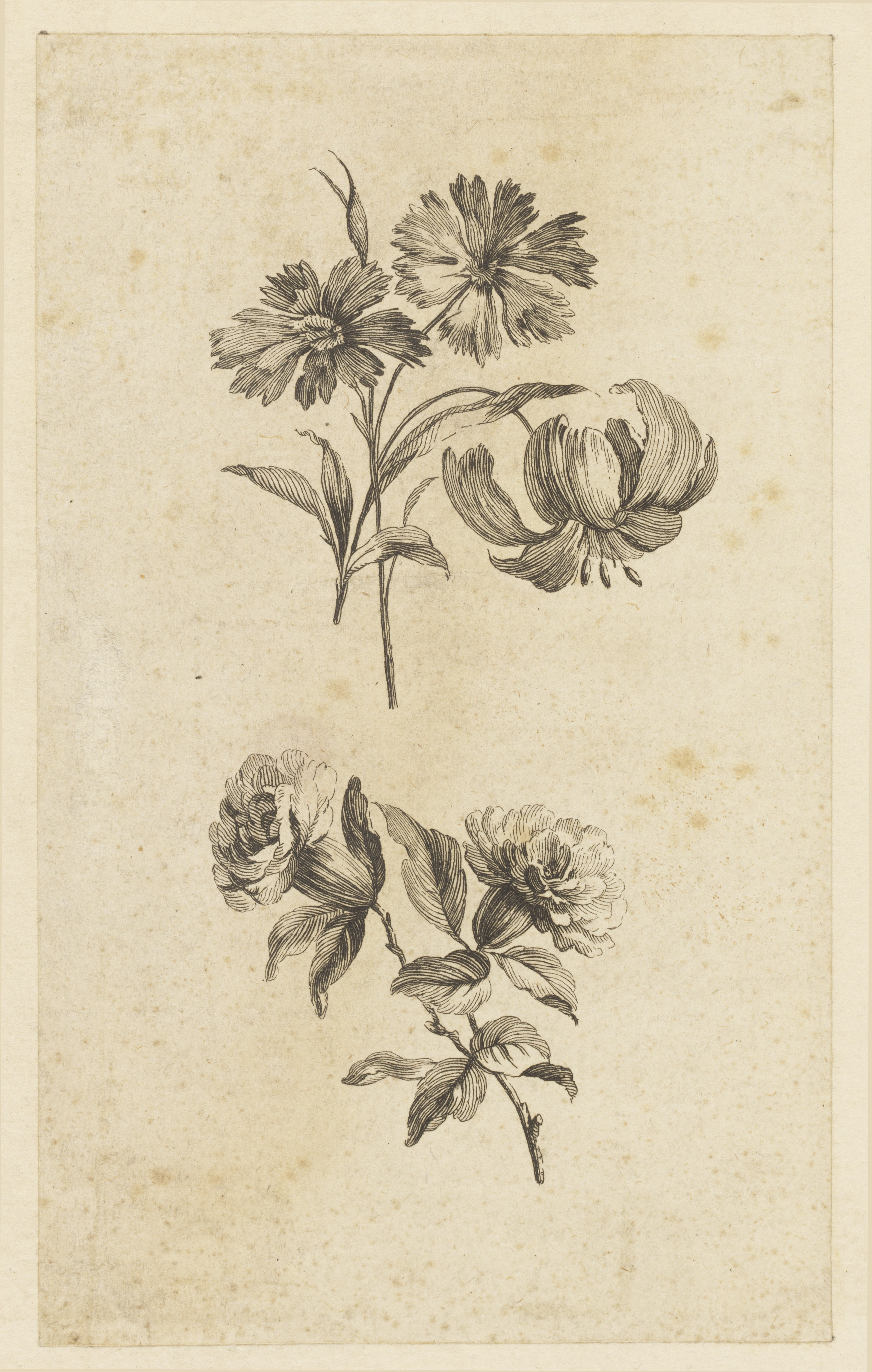 Two Flower Sprigs Wallpaper