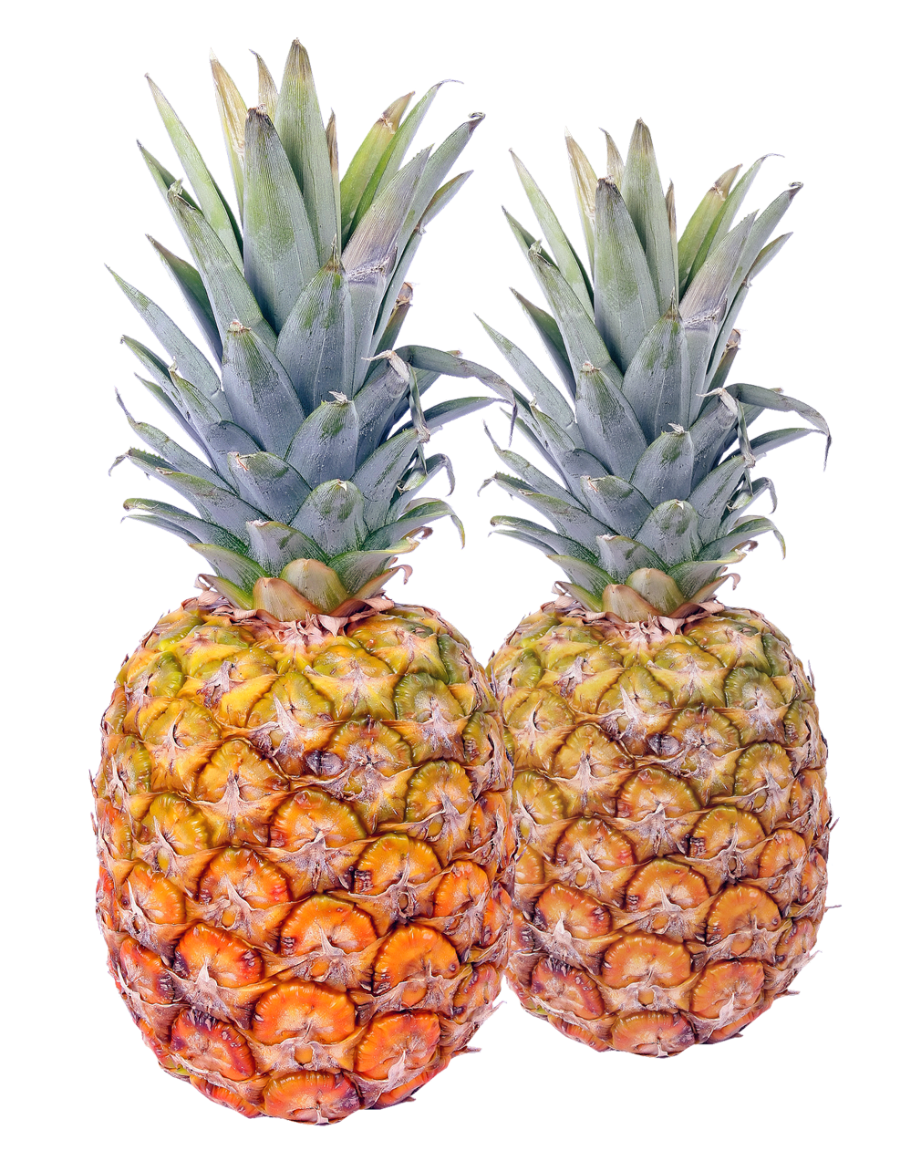 Two Fresh Pineapples Isolated PNG