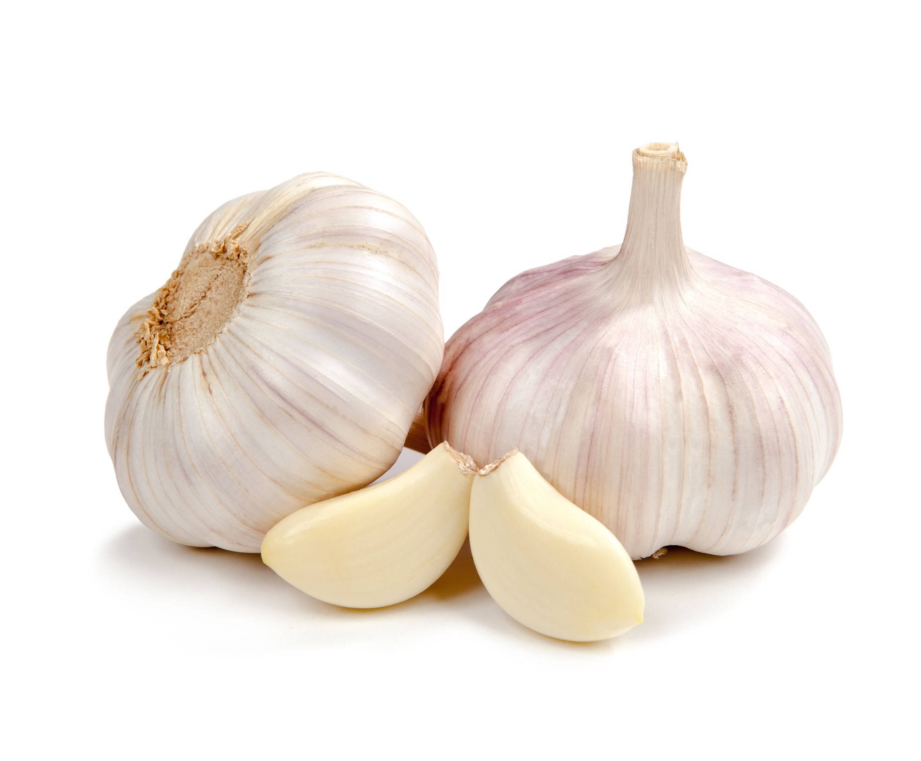 The Twin Garlic - Homegrown Freshness Wallpaper