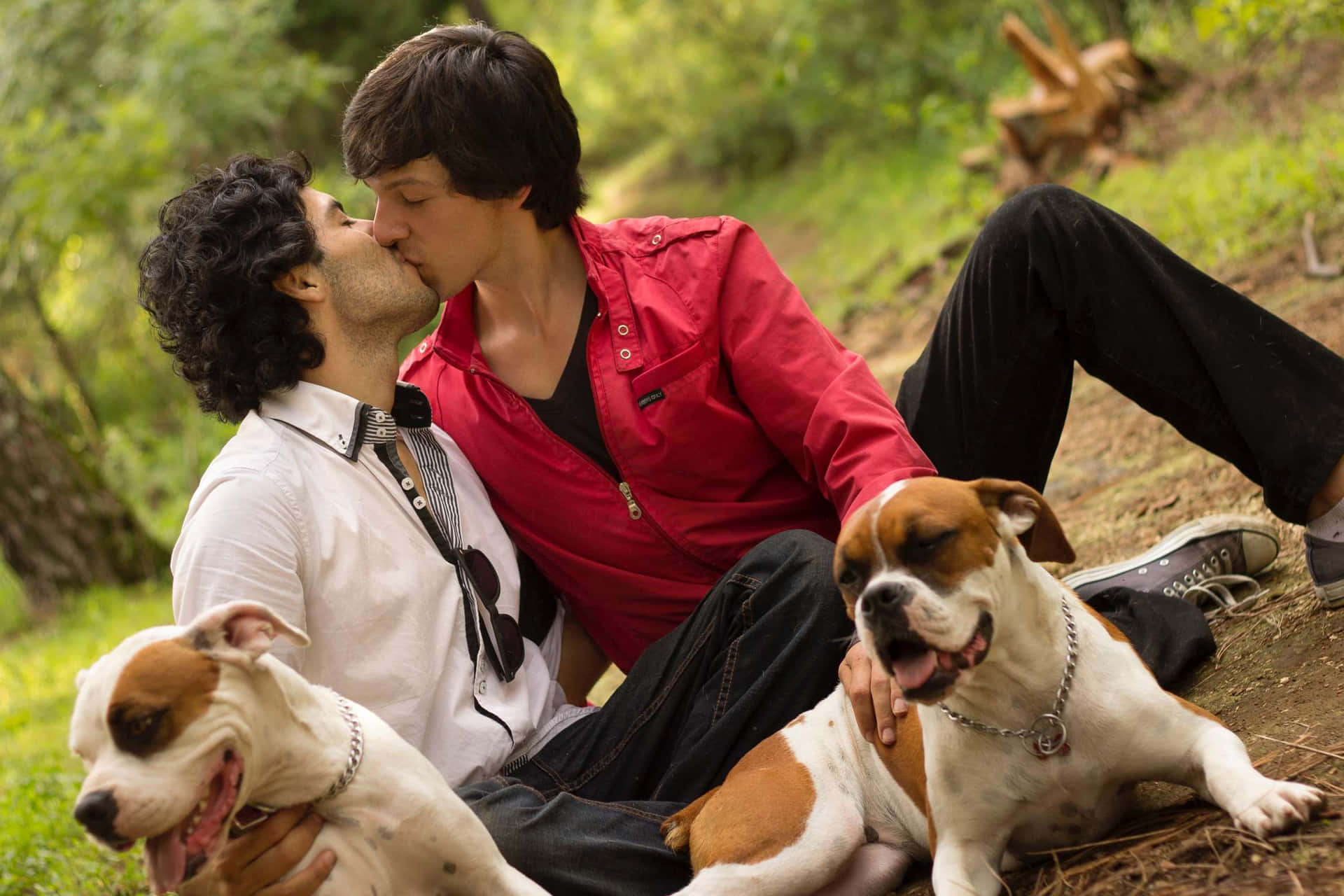 Two Gay Boys With Dogs Picture