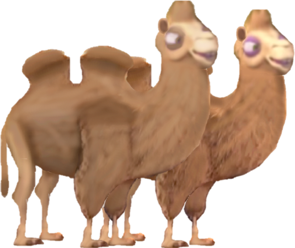 Two Headed Camel Illustration PNG