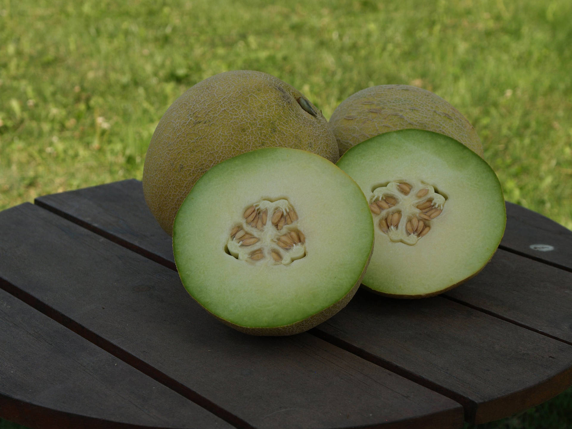 Two Honeydew Melon Wallpaper