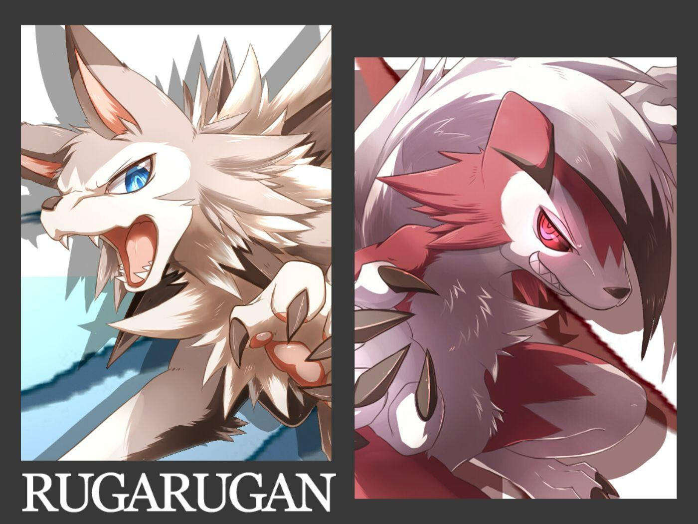 Two Lycanroc Forms Black Wallpaper