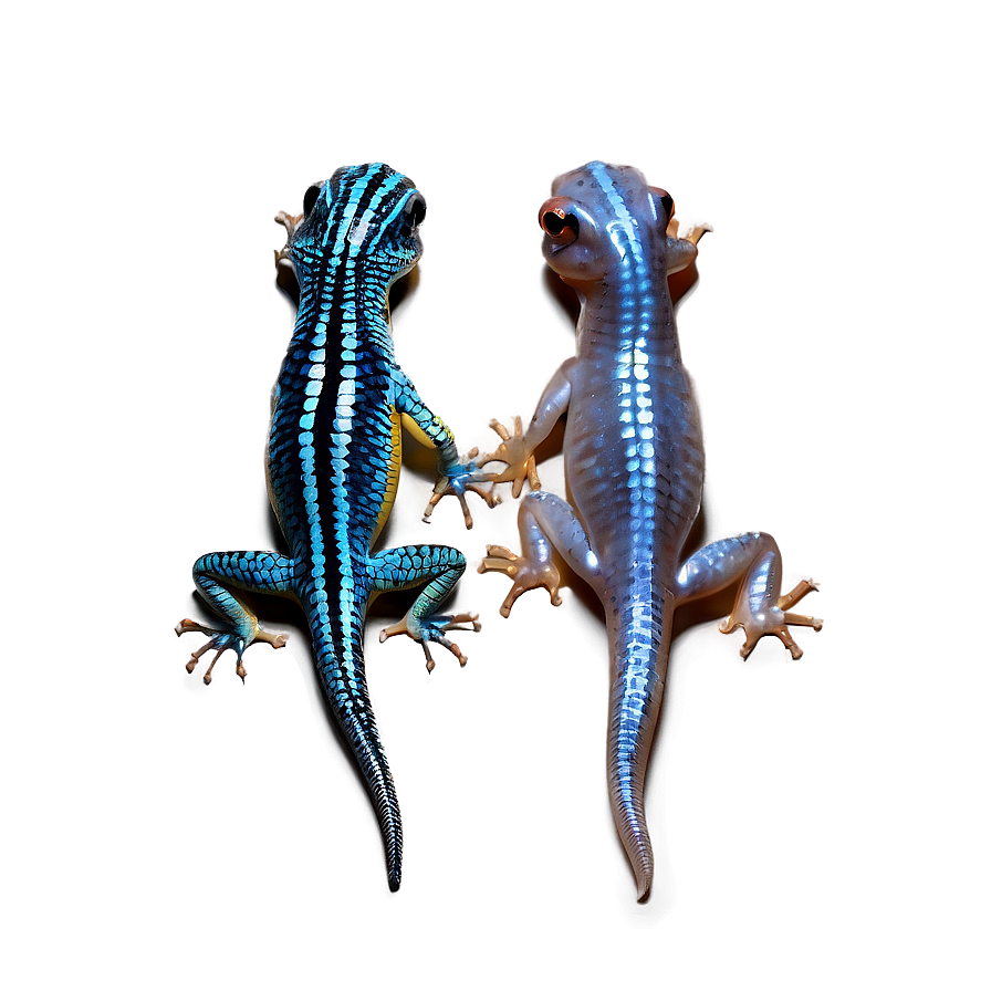 Two Newts Png Eax PNG