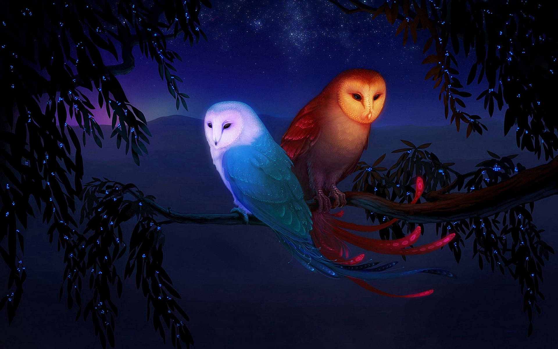 Two Owls Standing in a Nocturnal Scene Wallpaper