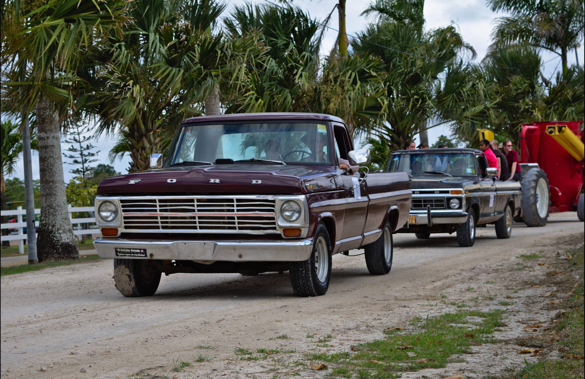 Two Old Ford Trucks