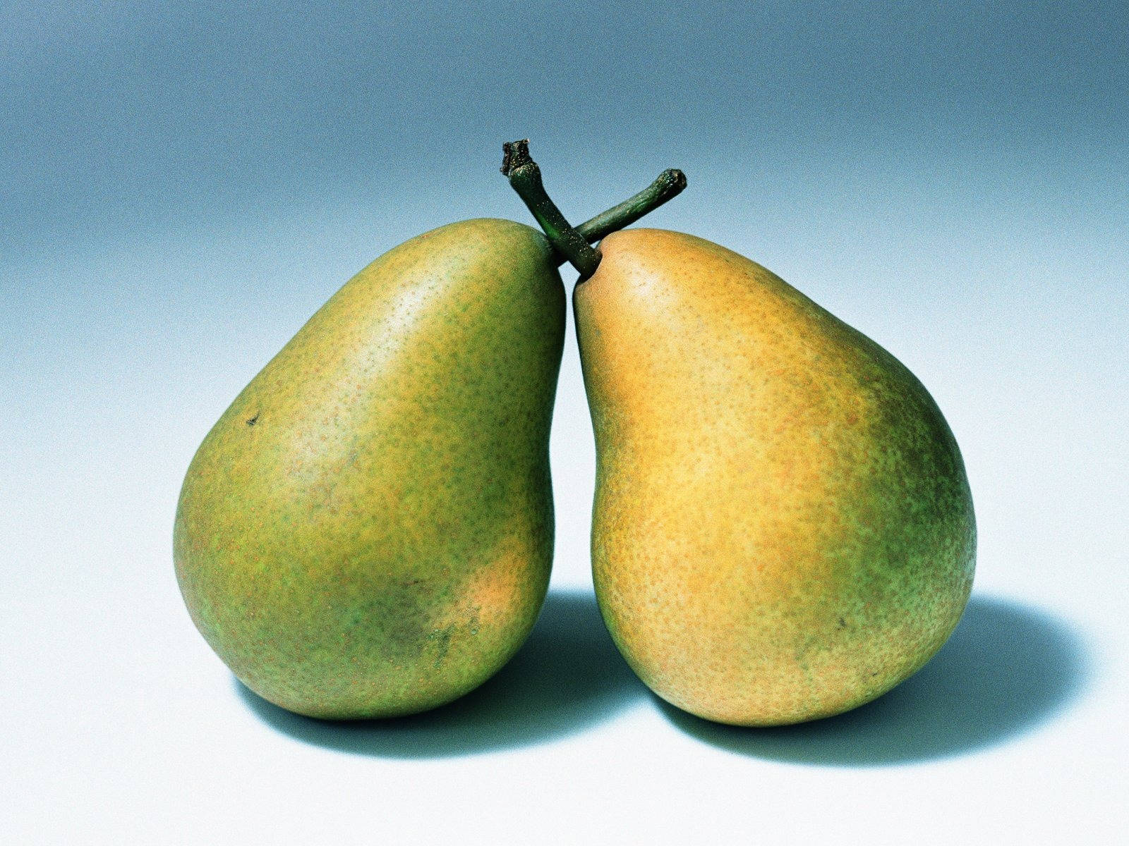 Two Pear Fruits Wallpaper