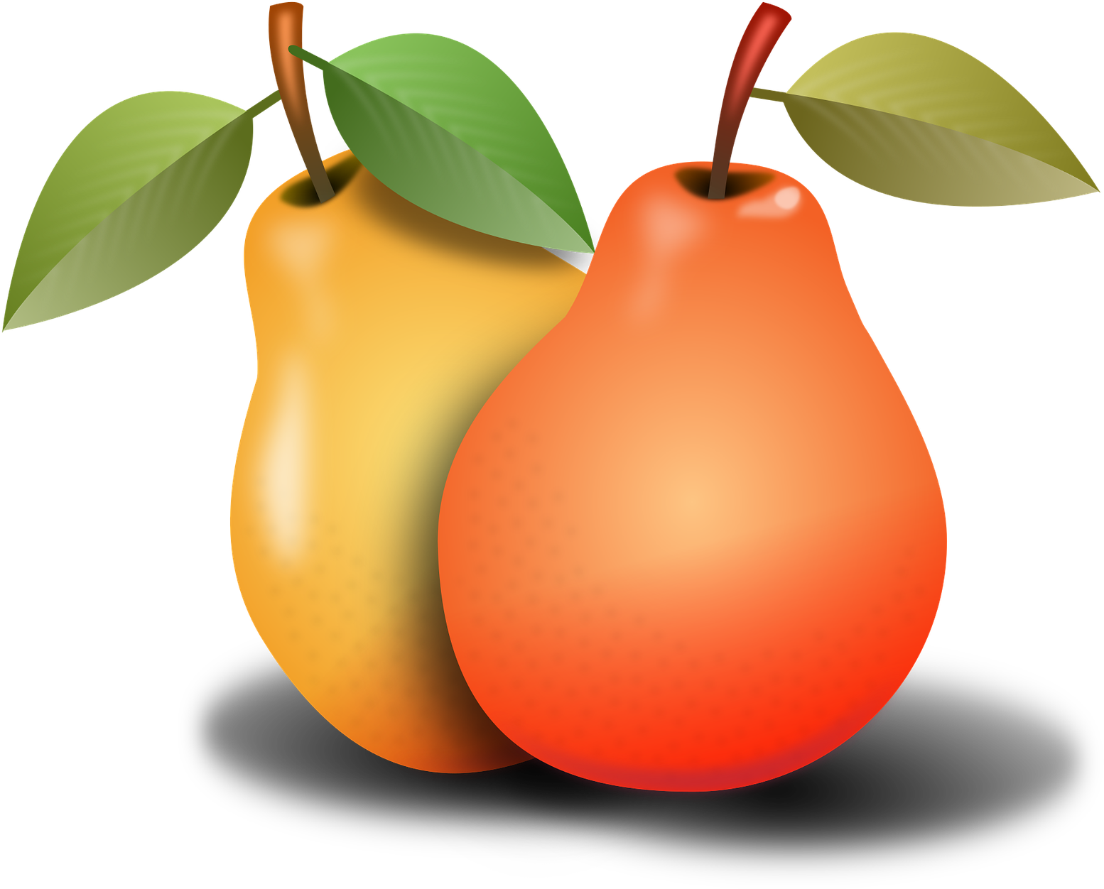 Download Two Pears Illustration | Wallpapers.com