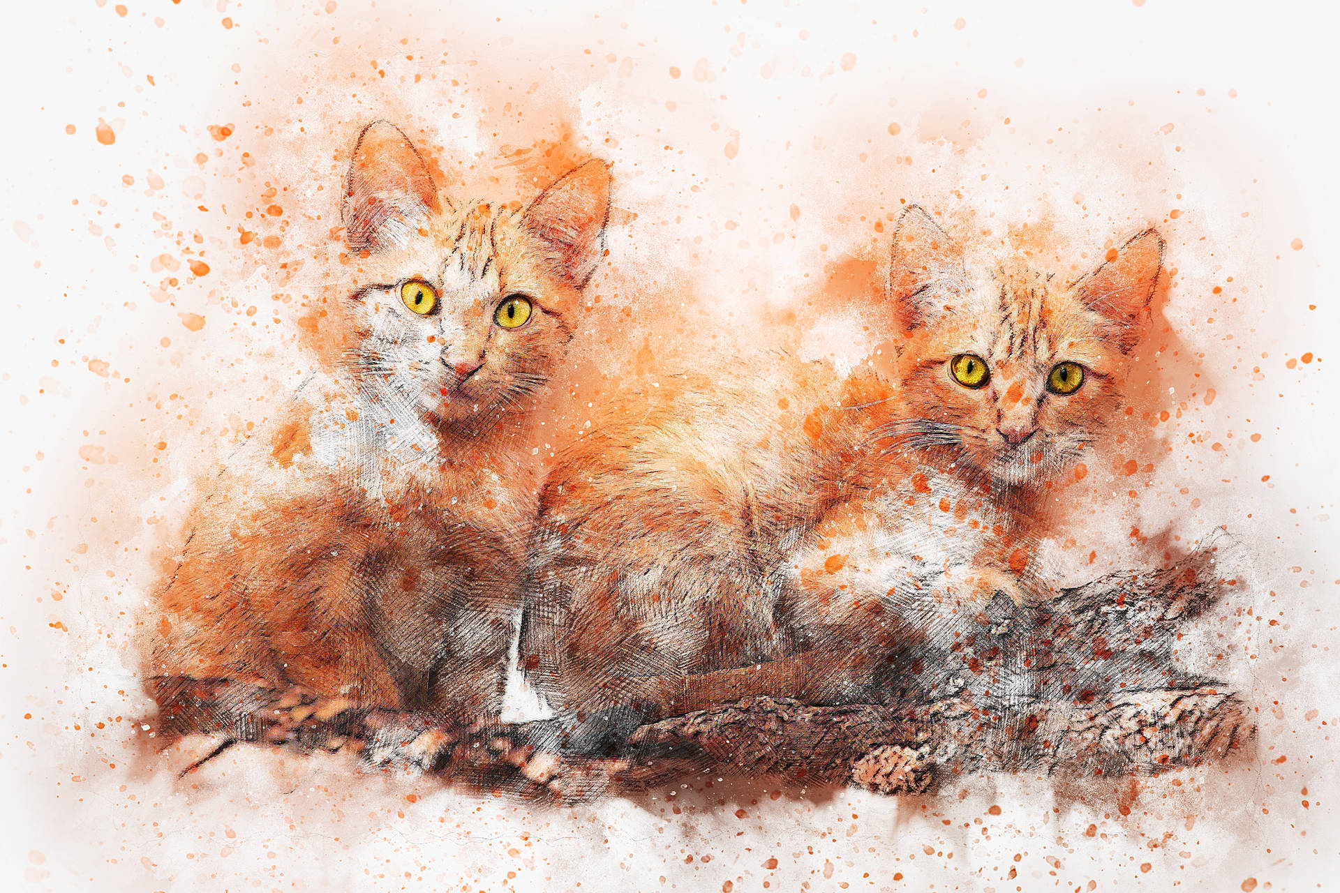Pittura Di Due Gatti Dell'animale Domestico Sfondo
