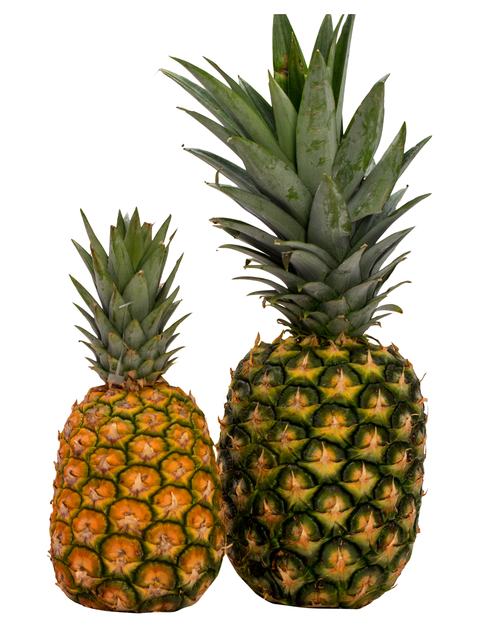 Two Pineapples Sideby Side PNG