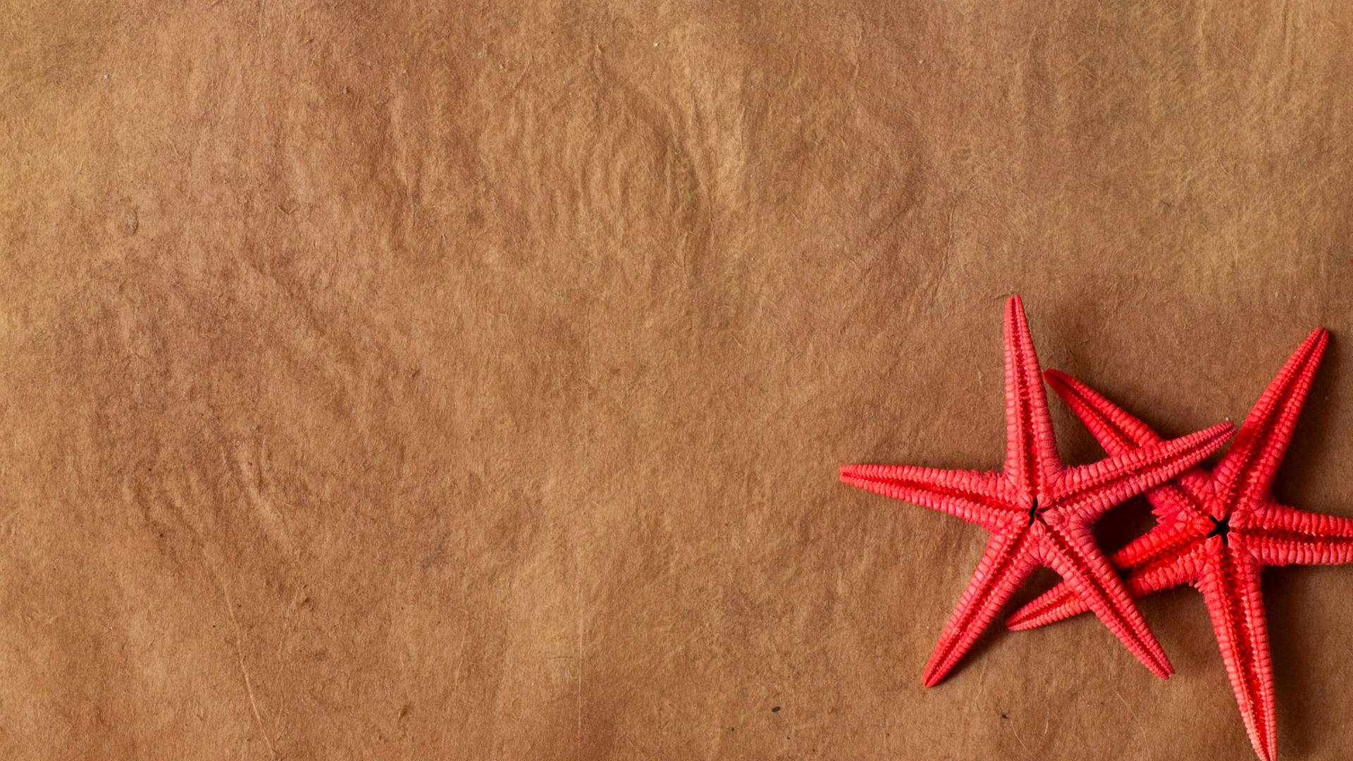 Two Red Starfish Minimalist Wallpaper