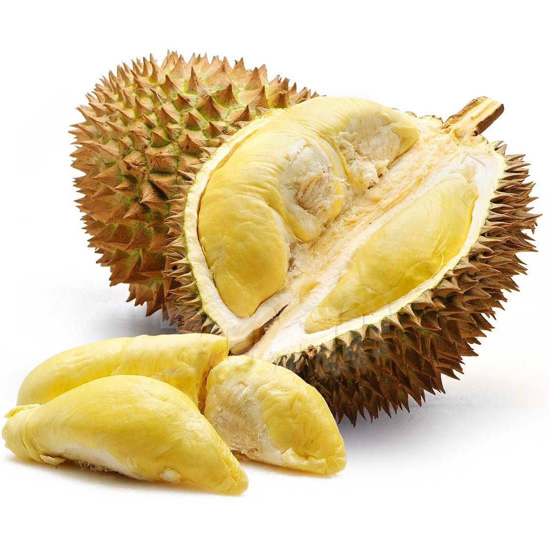 Top 999+ Durian Wallpaper Full HD, 4K✅Free to Use