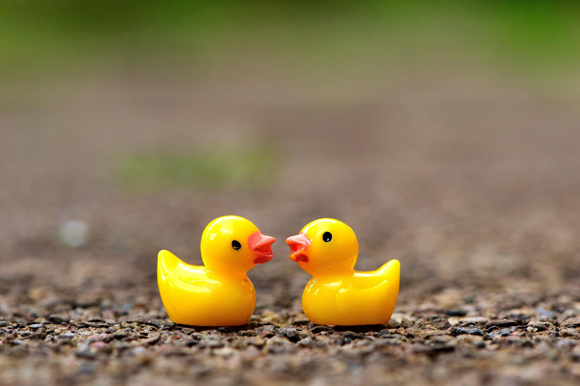 Two Rubber Ducks Together.jpg Wallpaper